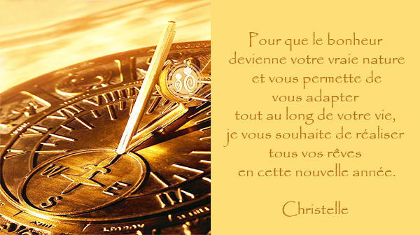 voeux et programme 2021-christelle-vinals-07 88 49 16 93