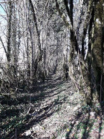 Prendre de la hauteur