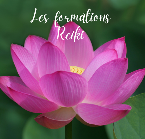 Acompte “Formation Reiki”