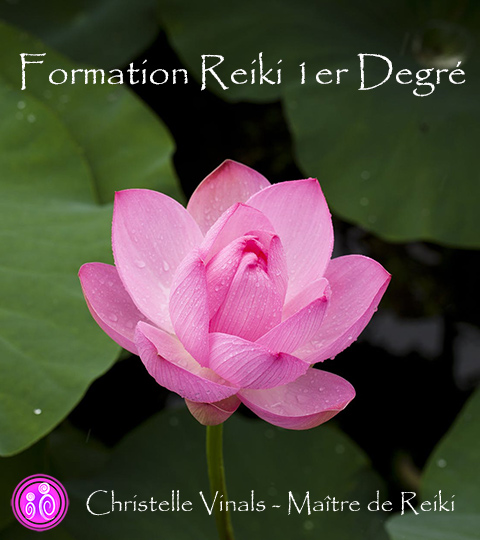 formation reiki développement personnel