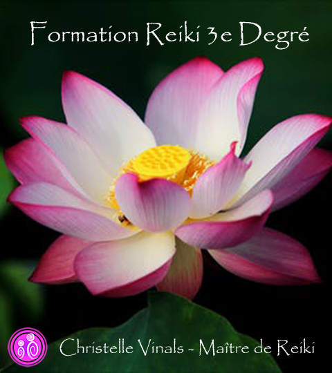 formation reiki développement personnel